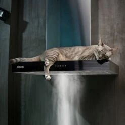 CIARRA 4 Speeds Class A++ 650m3/h Touch Control Chimney Cooker Hood 60cm -CBCS6102 -Home Appliances Store 36409475 4