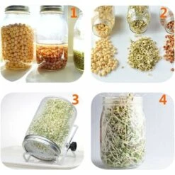 4 Stainless Steel Home Germination Jar Lids For Large Mouth Mason Jars -Home Appliances Store 68107579 4